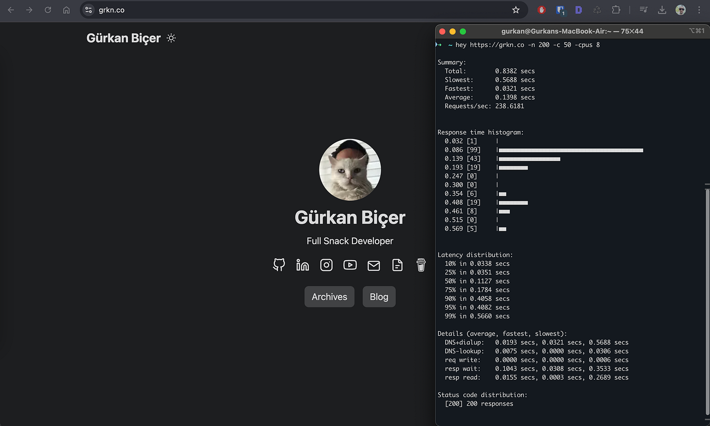 hey aracıyla grkn.co’ya gönderilen yük testinin terminal çıktısı