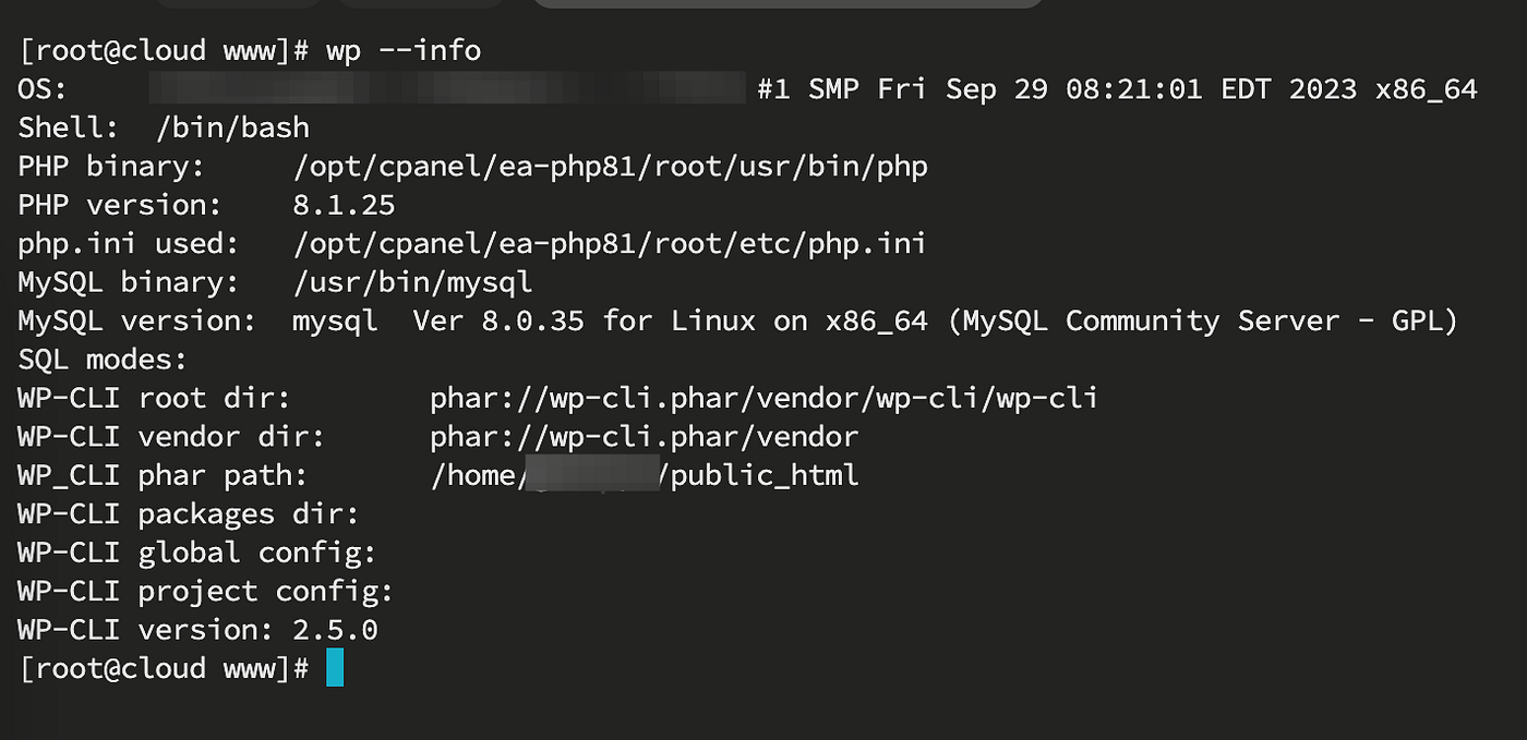 Terminal output verifying the WP-CLI installation on the server